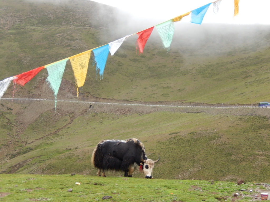 Roadtrip – Lhasa to Kathmandu: 4 days and 3 nights